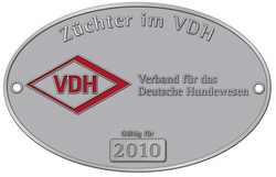 www.vdh.de